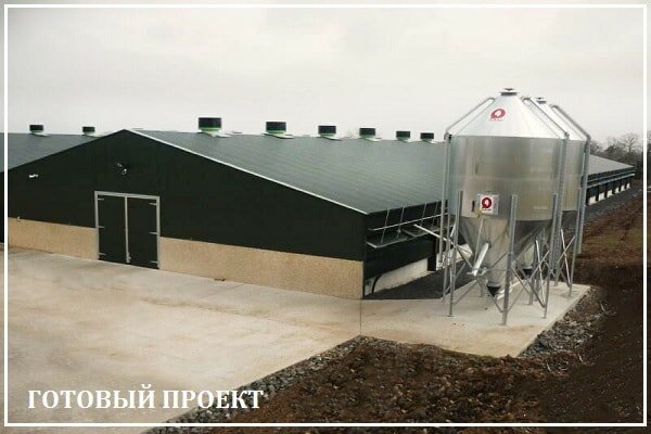 Этапы возведения птицефабрики от завода ВелесТент-нвт